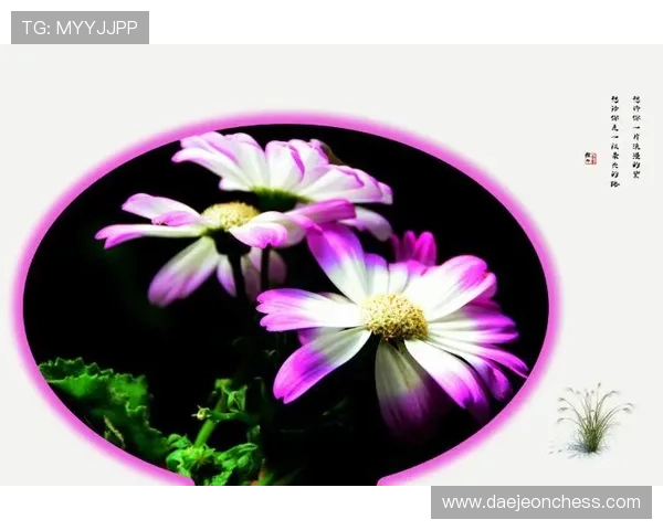 开运数字站带你开启幸福人生之路，解锁每一个好运气